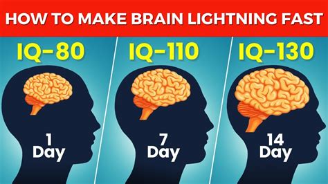 How to Increase Your IQ and Brain Power .